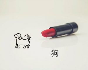 Китайский гороскоп: женщина Собака