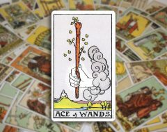 Ace of Wands — Туз Жезлов