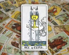 Ace of Cups — Туз Кубков